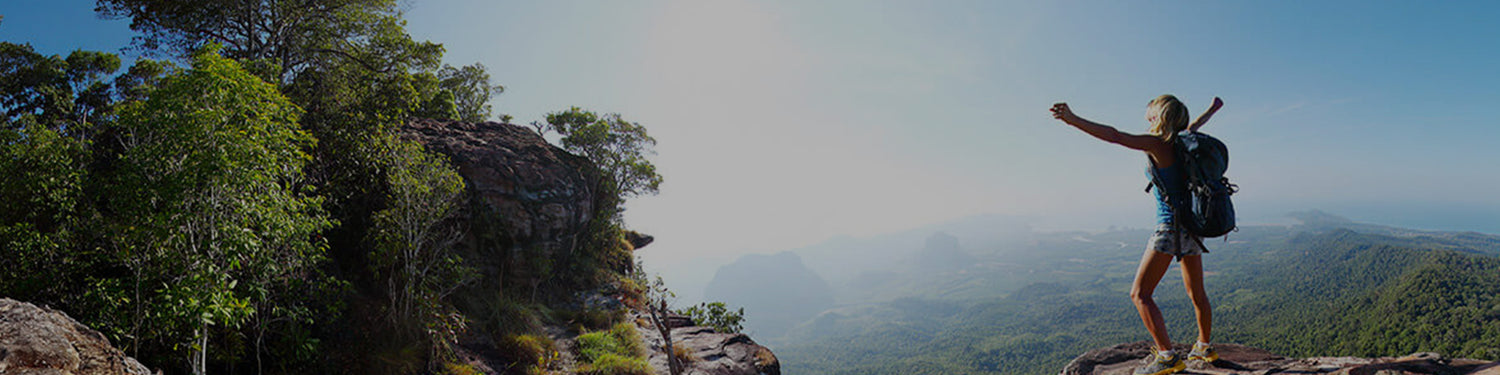 Your Wellness Journey