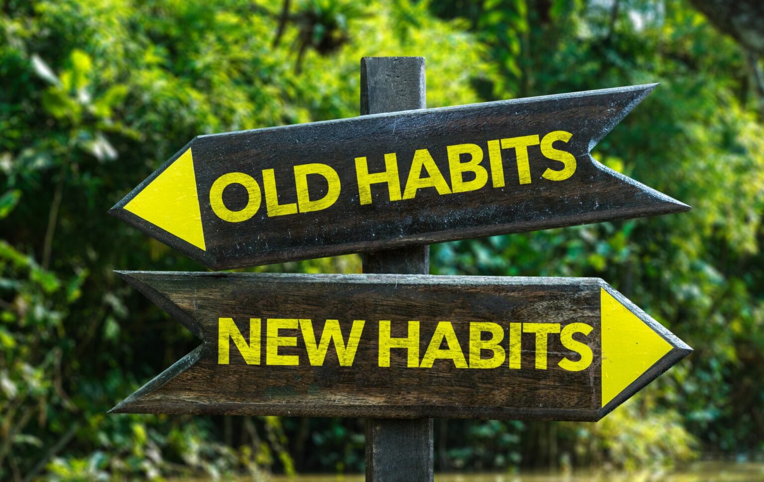 Good Habits