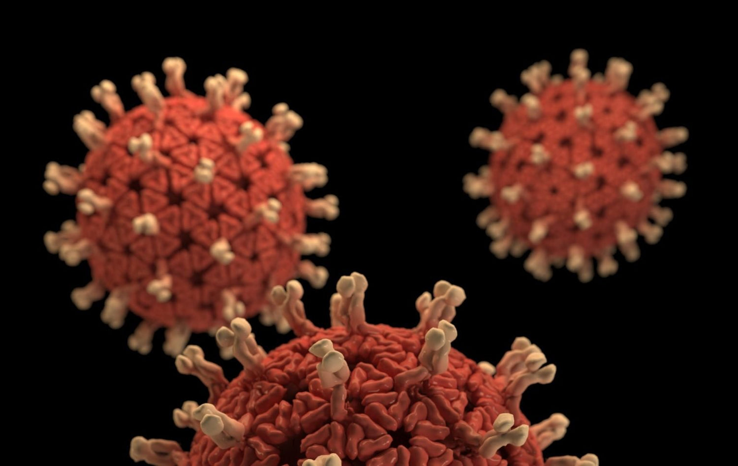 Corona Virus and How to Boost Your Immunity