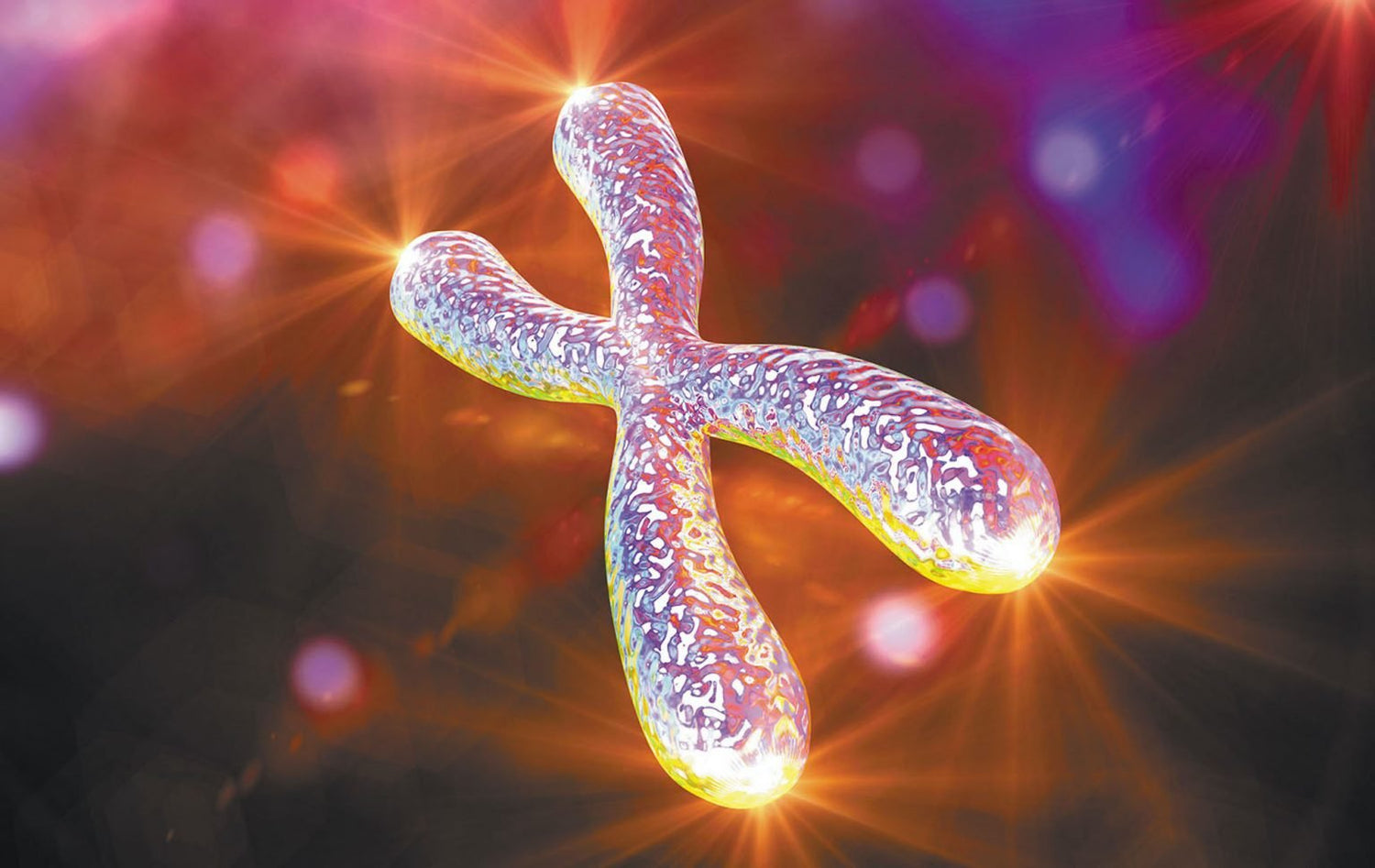 You Are Only As Old As Your Telomeres!