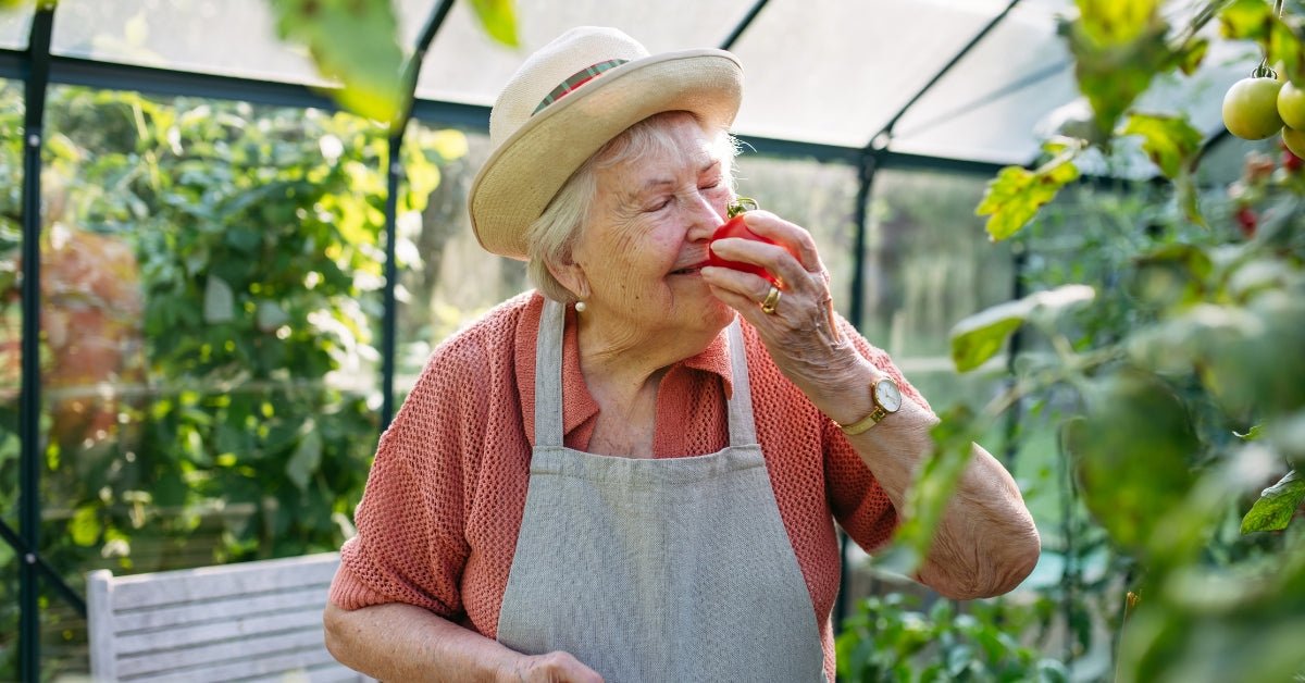 Older woman in a greenhouse smiling as she smells a freshly picked tomato