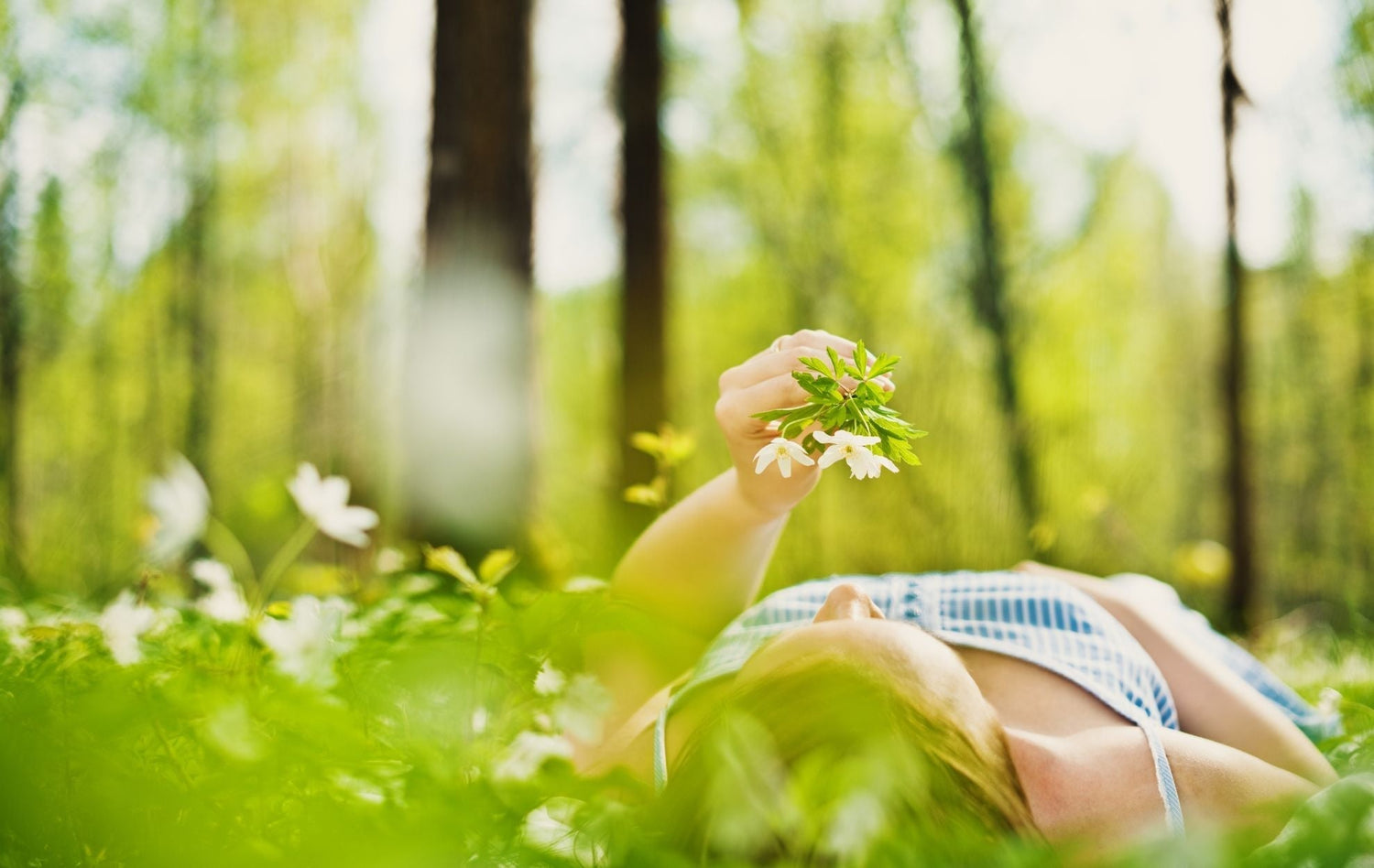 Is Adrenal Fatigue Real? Symptoms, Natural Recovery & Adaptogenic Support